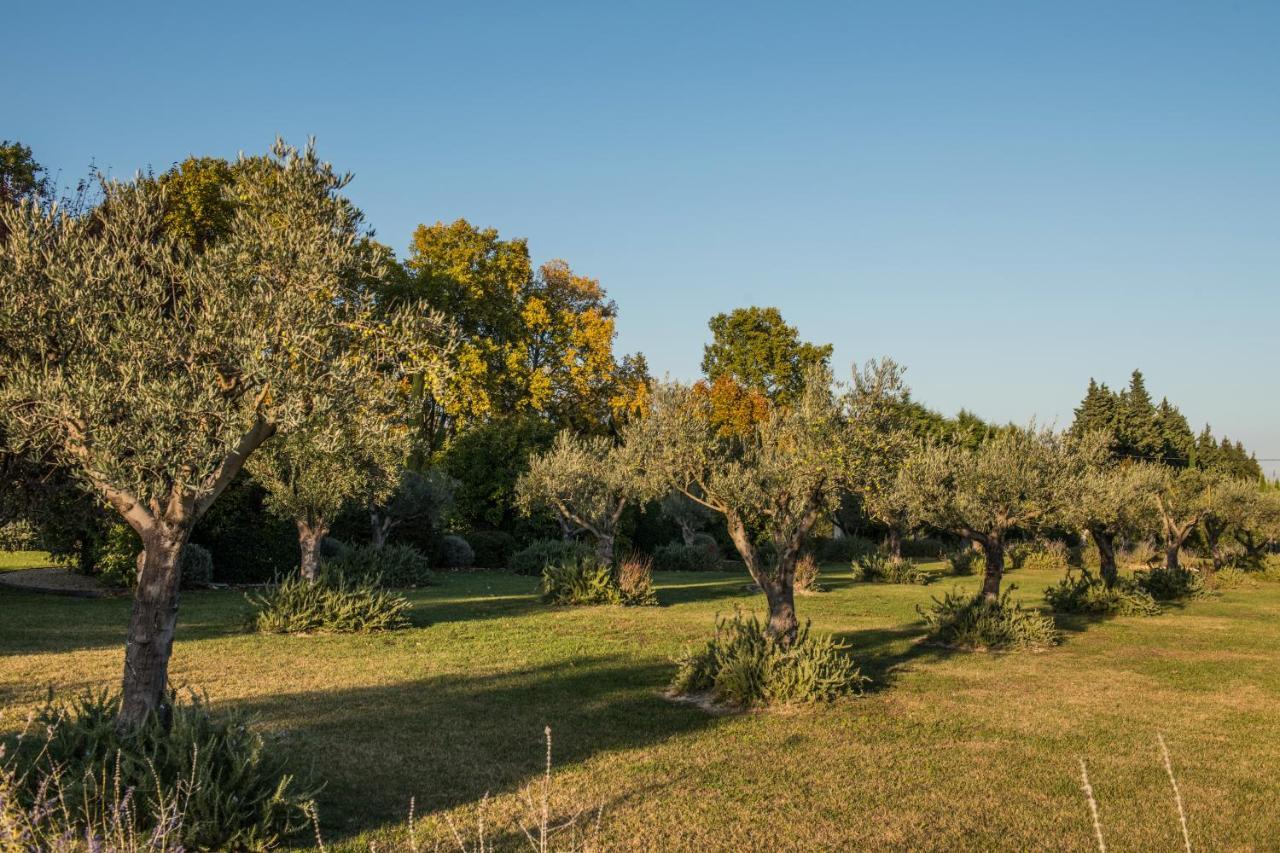Clos Saint Esteve 勒托尔 外观 照片